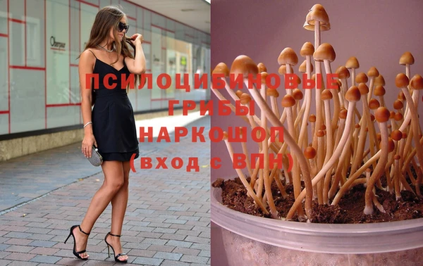 кокаин колумбия Магас