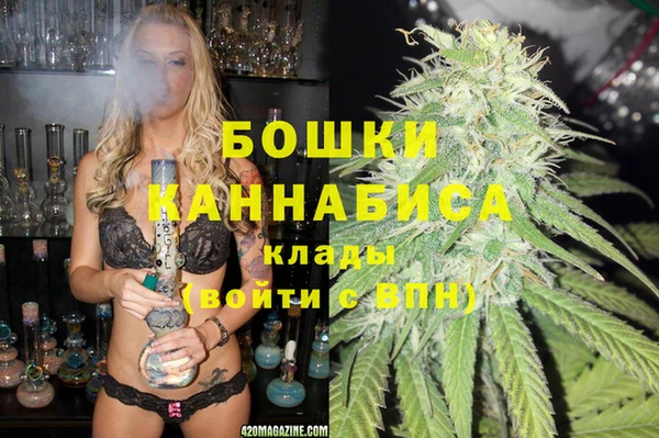 стафф Майский