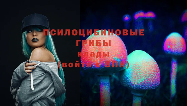 apvp Лихославль