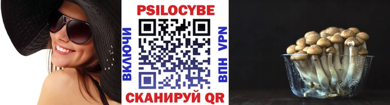 Псилоцибиновые грибы GOLDEN TEACHER  Энгельс 