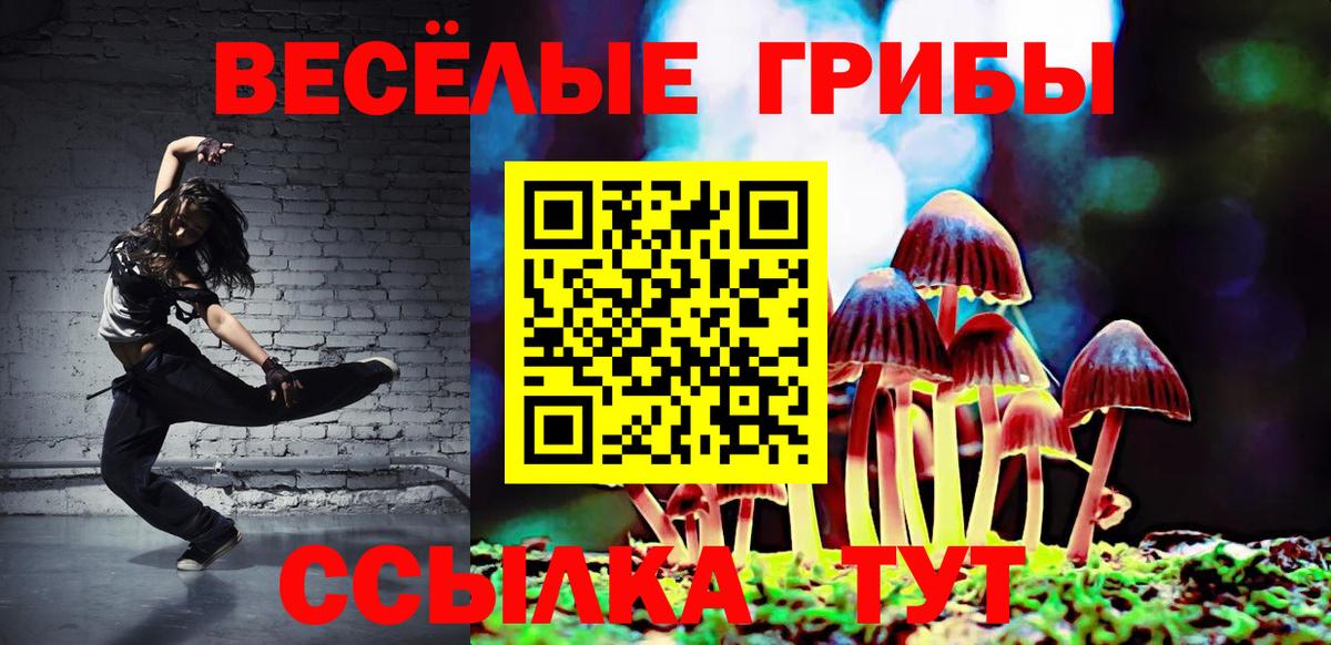 Энгельс  Псилоцибиновые грибы ЛСД  купить наркоту  Вход с VPN 